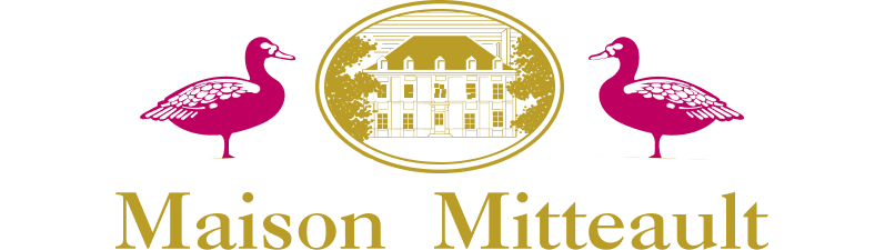 producteur-foie-gras-magret-canard-france