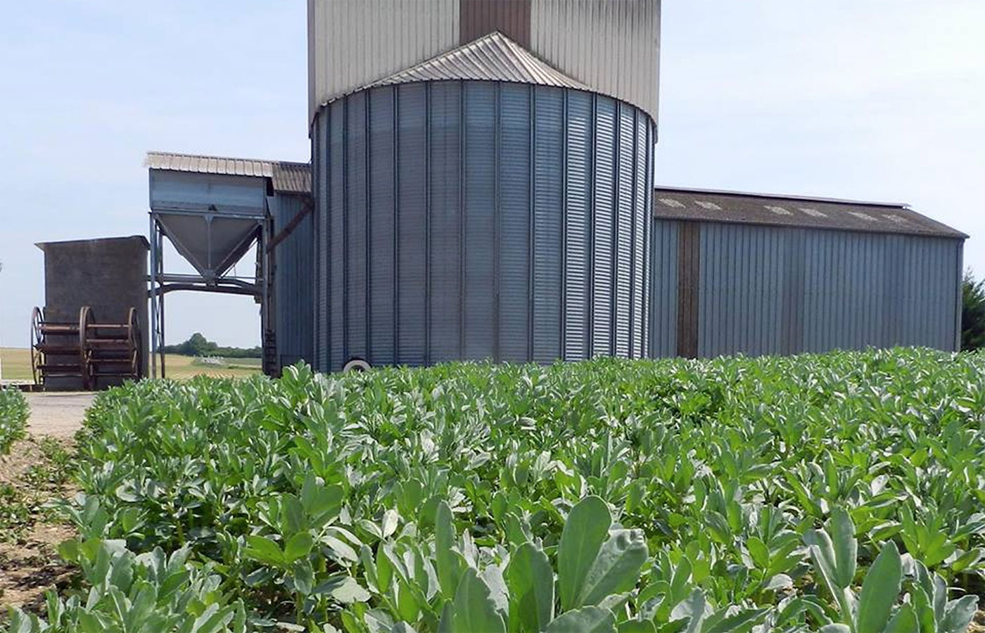 champs-stockage-grain