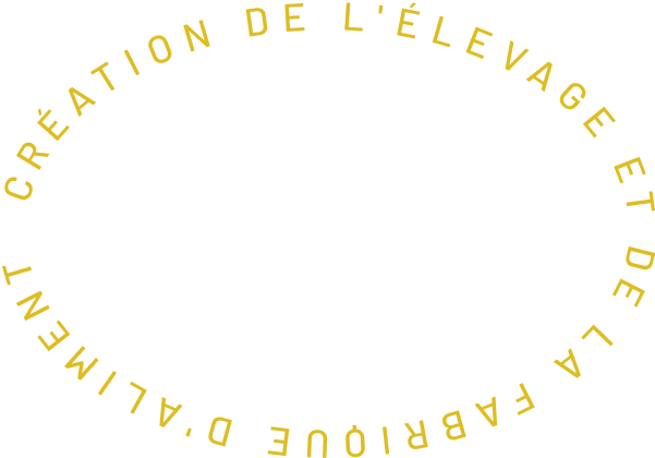 creation-elevage-canard