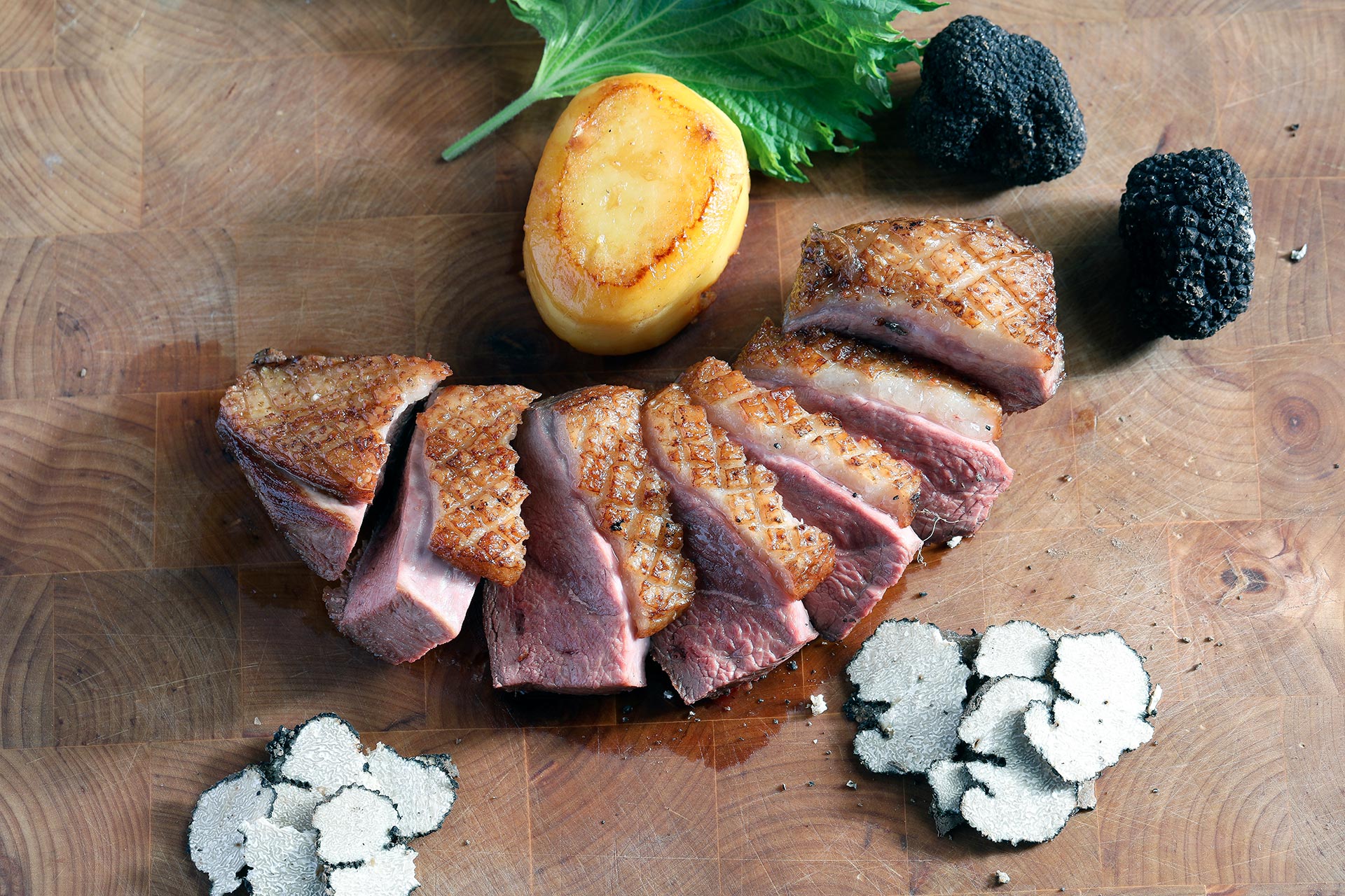 magret-de-canard-fournisseur-france magret-de-canard-fournisseur-france