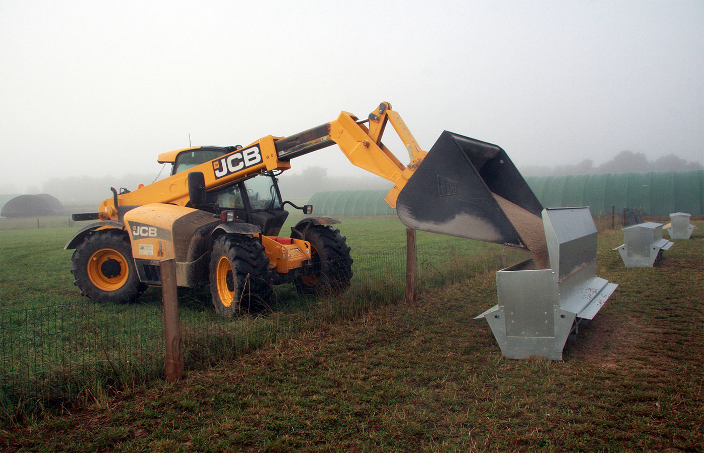 nourrissage-canards-mitteault