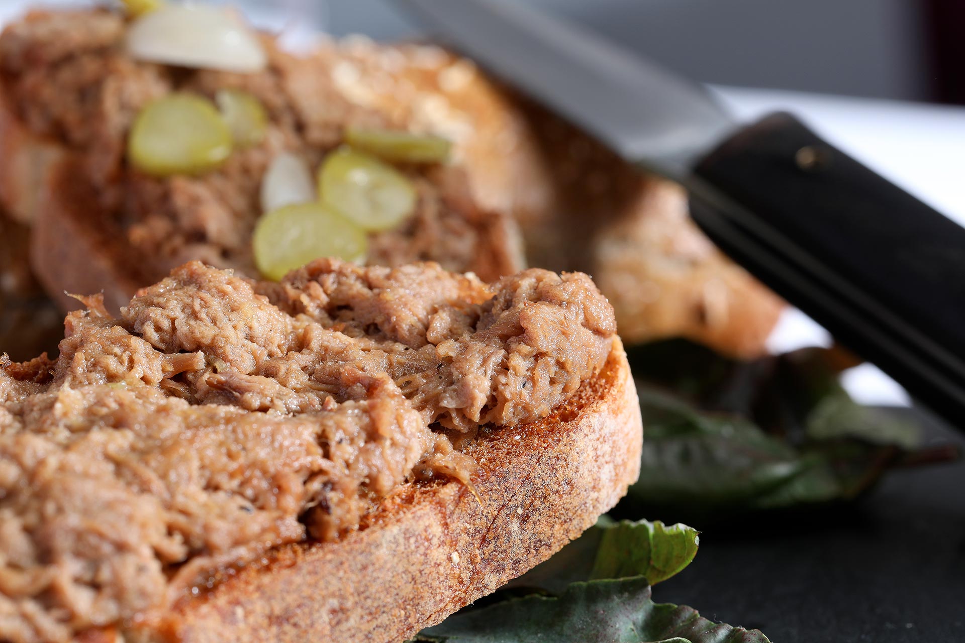 rillettes-de-canard-vue-proche rillettes-de-canard-vue-proche